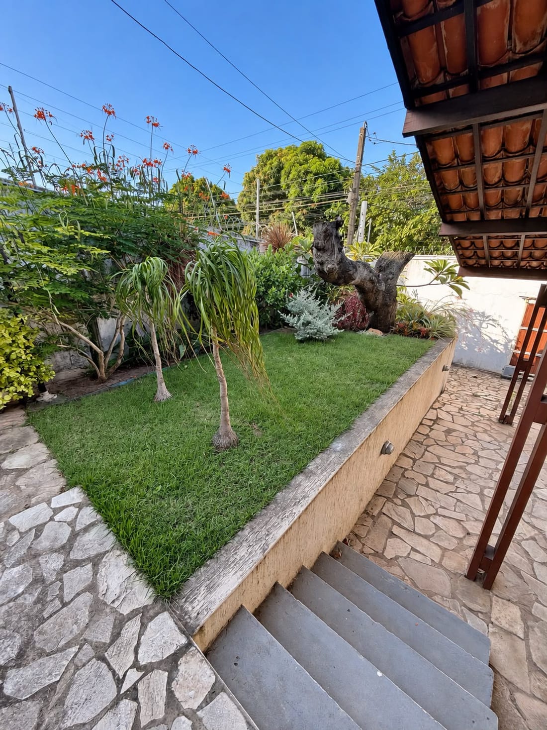 Jardim nos fundos da Casa de Ponta Negra